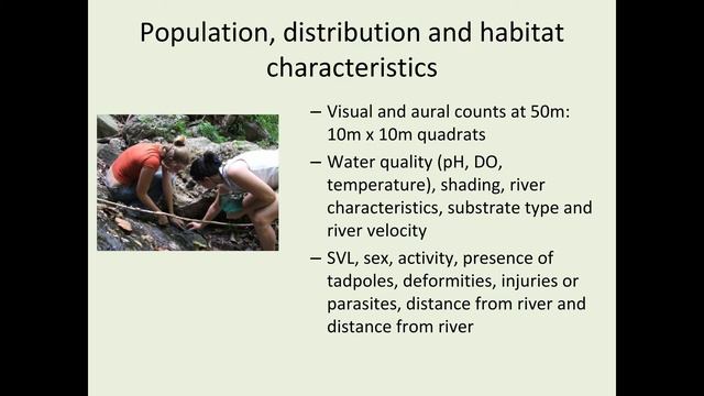 The Tobago Stream Frog: Critically Endangered or Vulnerable? What’s the Deal? смотреть онлайн