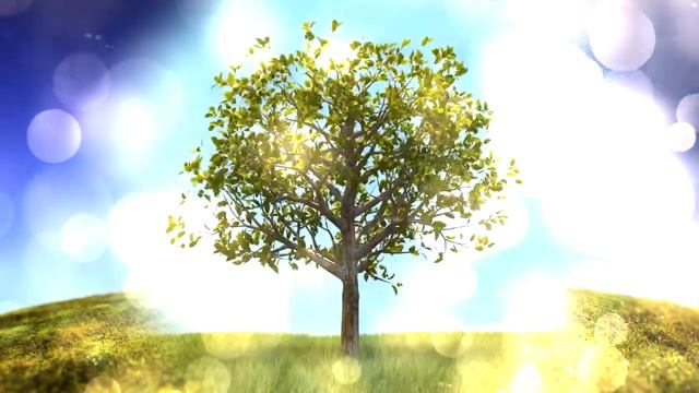 Футаж рост, дерево | Footage growth tree смотреть онлайн
