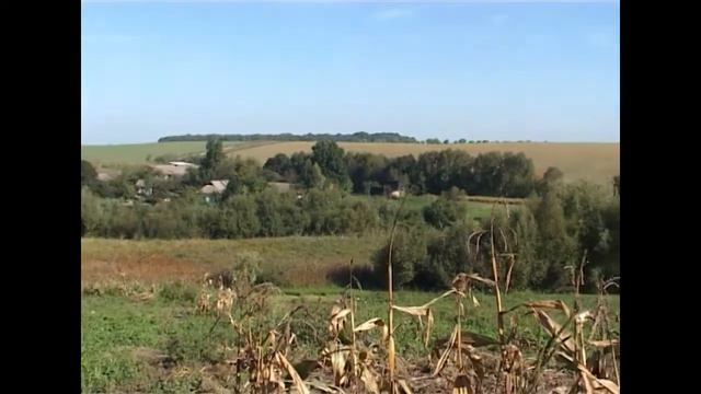 Только ты моя мама живи смотреть онлайн