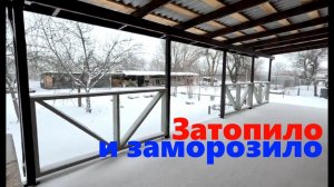 #184 Первые дни нового года