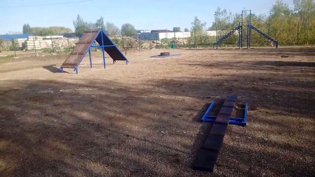 Эко Дог-Парк «УГОЛЁК» смотреть онлайн