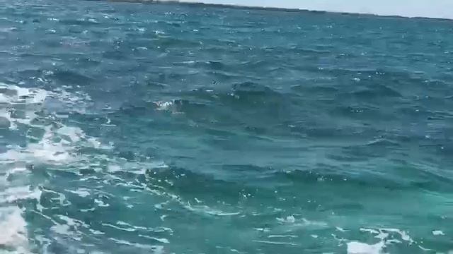 Куба, рыбалка у побережья Cayo Coco. 05.2021. смотреть онлайн