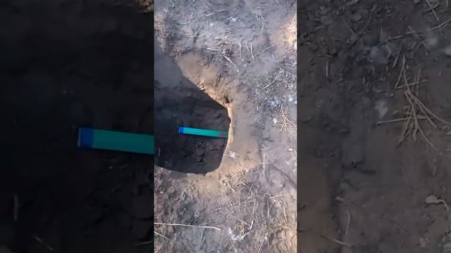 Металлоискатель Тесоро Вакуэро, катушка Mars Tiger, тест смотреть онлайн
