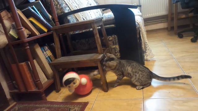 Котенок и неваляшка смотреть онлайн