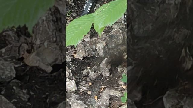 Hard Enduro в Жигулёвских горах. The Dark Secrets Of The Enduro Cult #bike #hardenduro #enduro