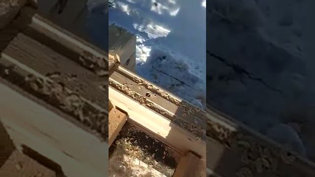 Засверливание отверстий под деревянный нагель смотреть онлайн