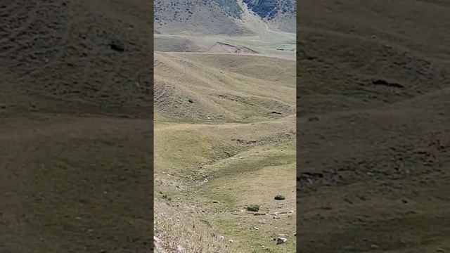 Плато Ассы. Тургеньское ущелье. Алматы. Казахстан