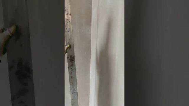 ✅Сдача обьекта 3 комн #квартиры по #штукатурным работам