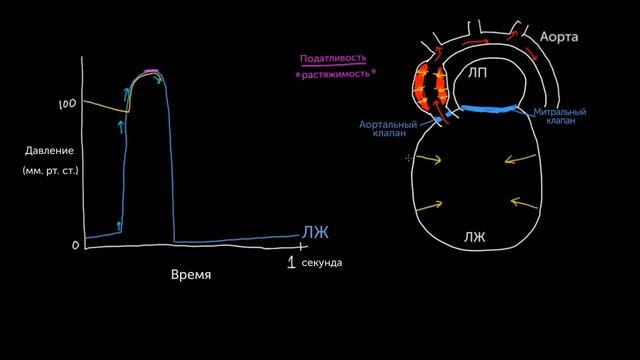 Давление в левых отделах сердца. Часть 2 смотреть онлайн