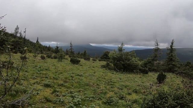 Вишерский заповедник (часть 2). Тулымский хребет, высшая точка Пермского края. смотреть онлайн