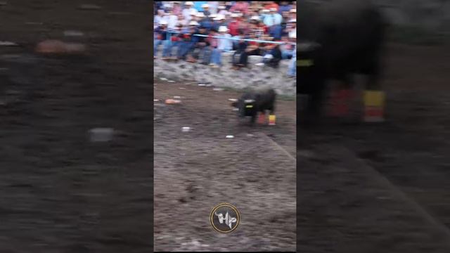 EL PEQUEÑO GRAN GUERRERO EL TORO MAS PELIGROSO . смотреть онлайн