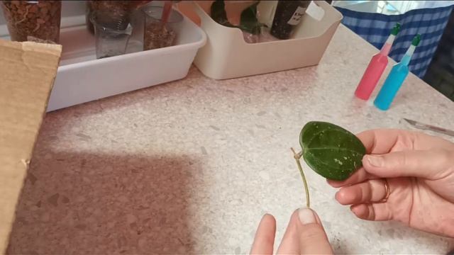 День почты. Три посылки, две распаковки! Посылка от Нади! смотреть онлайн