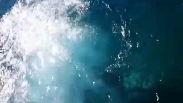 Lake Crescent plunge with my underwater camera! смотреть онлайн