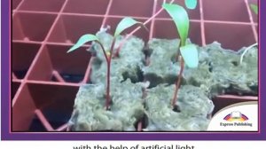 English Speaking: Jobs of The Future