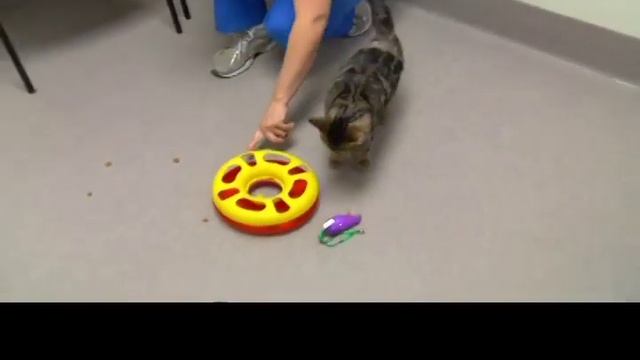 Mr Peebles смотреть онлайн