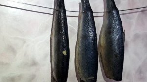 ЛЮБИТЕ СЕЛЕДОЧКУ? Тогда специально для Вас, СЕЛЬДЬ ПРОВЕСНАЯ! Креативная кухня.