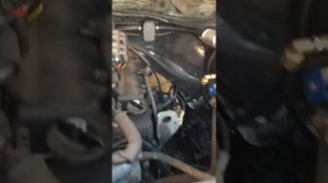 ГБО на Газель Некст мотор Evotech