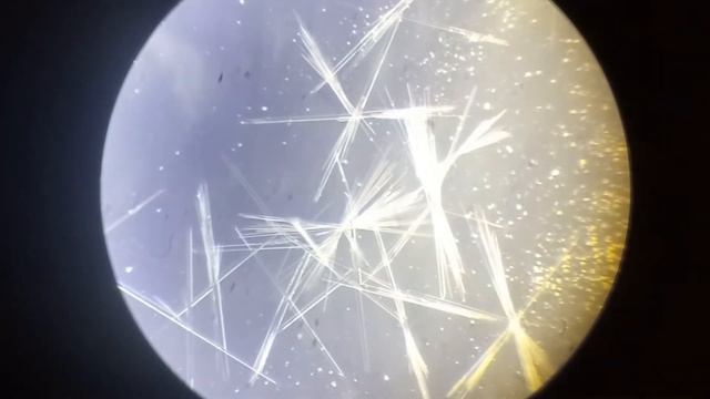 Микрокристаллоскопическая реакция: соли марганца (II) + щавелевая кислота смотреть онлайн