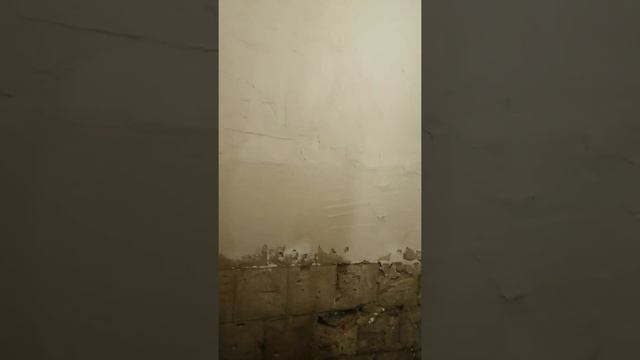 Часто встречающиеся проблемы в старом фонде в сырых помещениях. Решение проблемы.часть 2. смотреть онлайн