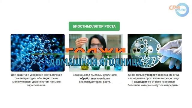 ? Оффер CPA INSIDE Выращивание ягоды годжи в домашних условиях Домашняя ягодница «Домашние грядки» смотреть онлайн