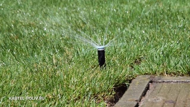 Автоматический полив, автополив газона.