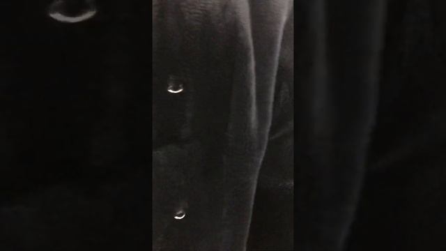 шубка из стриженой норки смотреть онлайн