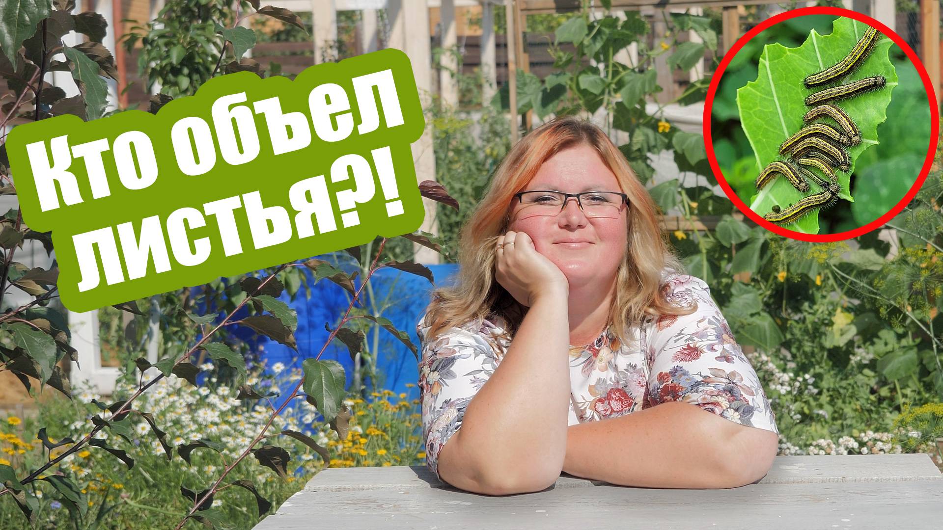 Это вредители ГРЫЗУТ ЛИСТЬЯ! Как защитить свои растения от жуков, гусениц и личинок смотреть онлайн