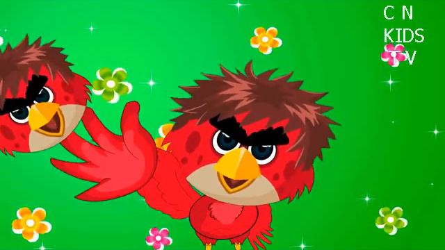 ANGRY BIRD FINGER FAMILY   Finger Family Collection   Finger Family Songs   Daddy Finger Nursery Rh