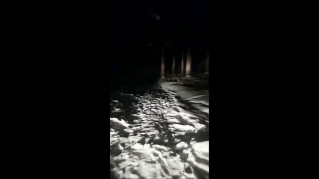 "Холидей классик" убрал мусор в Кольцово за 24 часа (22.12.2017) смотреть онлайн