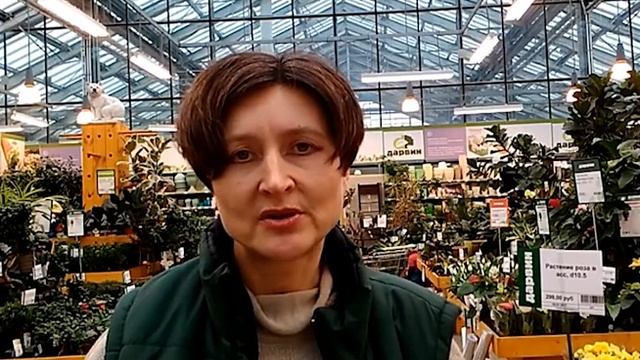 Мастер-классы от СЦ Дарвин. Розы. Секрет хранения до высадки в грунт. смотреть онлайн