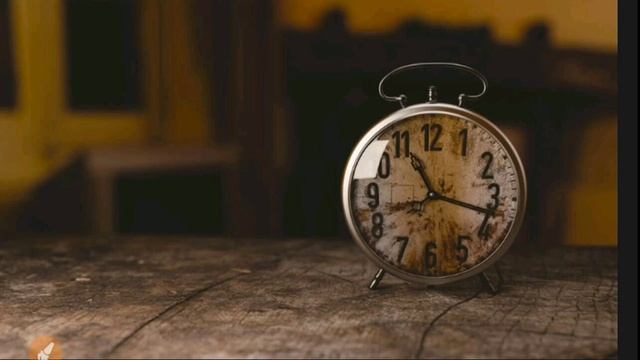 Видеокарты для Intel и AMD в чём разница?