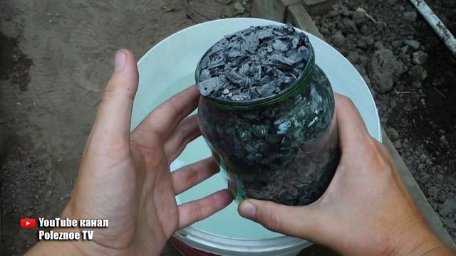 ПОДКОРМИТЕ ЭТИМ В ИЮЛЕ ОГУРЦЫ И ОНИ БУДУТ ПЛОДОНОСИТЬ ОЧЕНЬ ДОЛГО смотреть онлайн