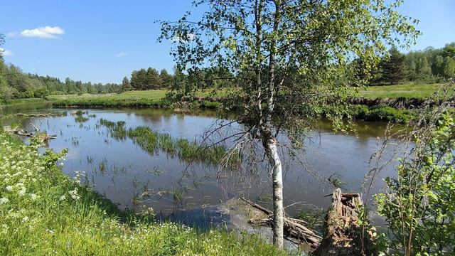 Река Уводь. ч.7. Июнь 2024 смотреть онлайн