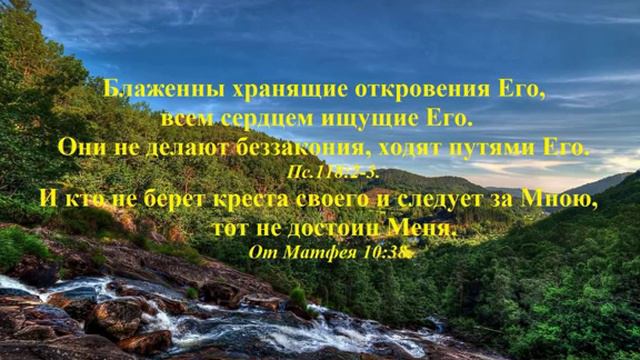 Во всём прекрасном