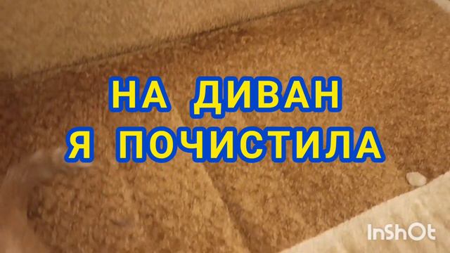 Утро не очень доброе😂/ Марину пришла с прогулки, а тут такое😅 смотреть онлайн