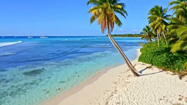 Полька со скрипкой - Роман Матусевич смотреть онлайн