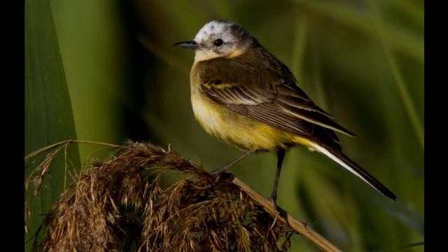 Одно лечим, а другое калечим. Здоровье- это персональное ответственность каждого из нас смотреть онлайн