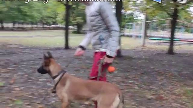 Искусство и Саморазвитие