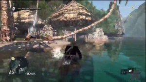 Assassins Creed IV: Treasure 525, 253 Long Bay
