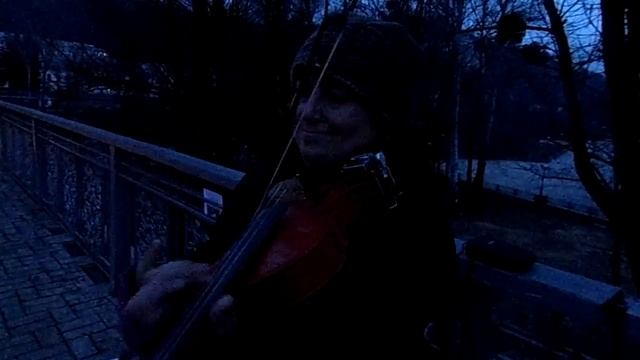 Полонез Огинского на Святогорском мосту 06.01.2014 г. смотреть онлайн