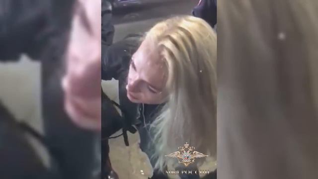 Авиадебоширка в Домодедово смотреть онлайн