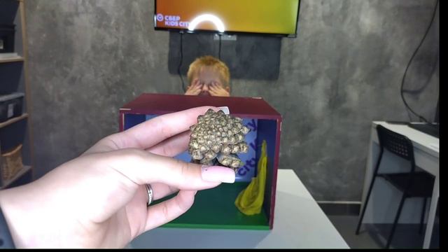 что в коробке челендж в а4 Kids city смотреть онлайн