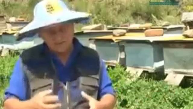 Лекарства од пчел смотреть онлайн