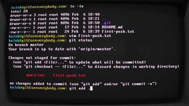 Git for Everybody: Git Status смотреть онлайн