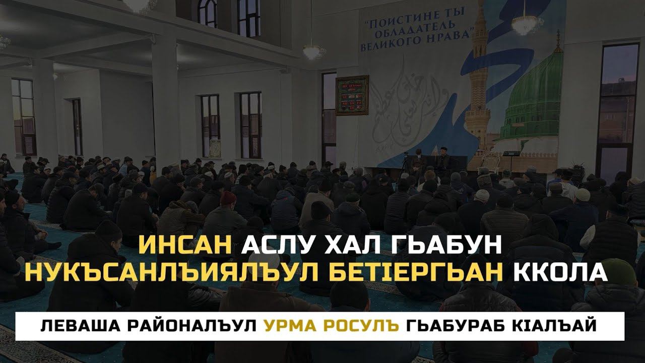 Инсан аслу хал гьабун, нукъсанлъиялъул бетIергьан ккола. Алихаджи аль-Кикуни смотреть онлайн