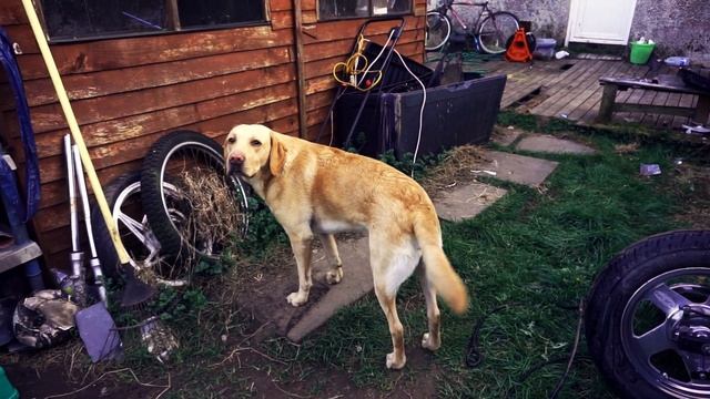 Rebel skończony, CBF prawie gotowe oraz zaczynamy nowy projekt - Honda Shadow 125cc! смотреть онлайн
