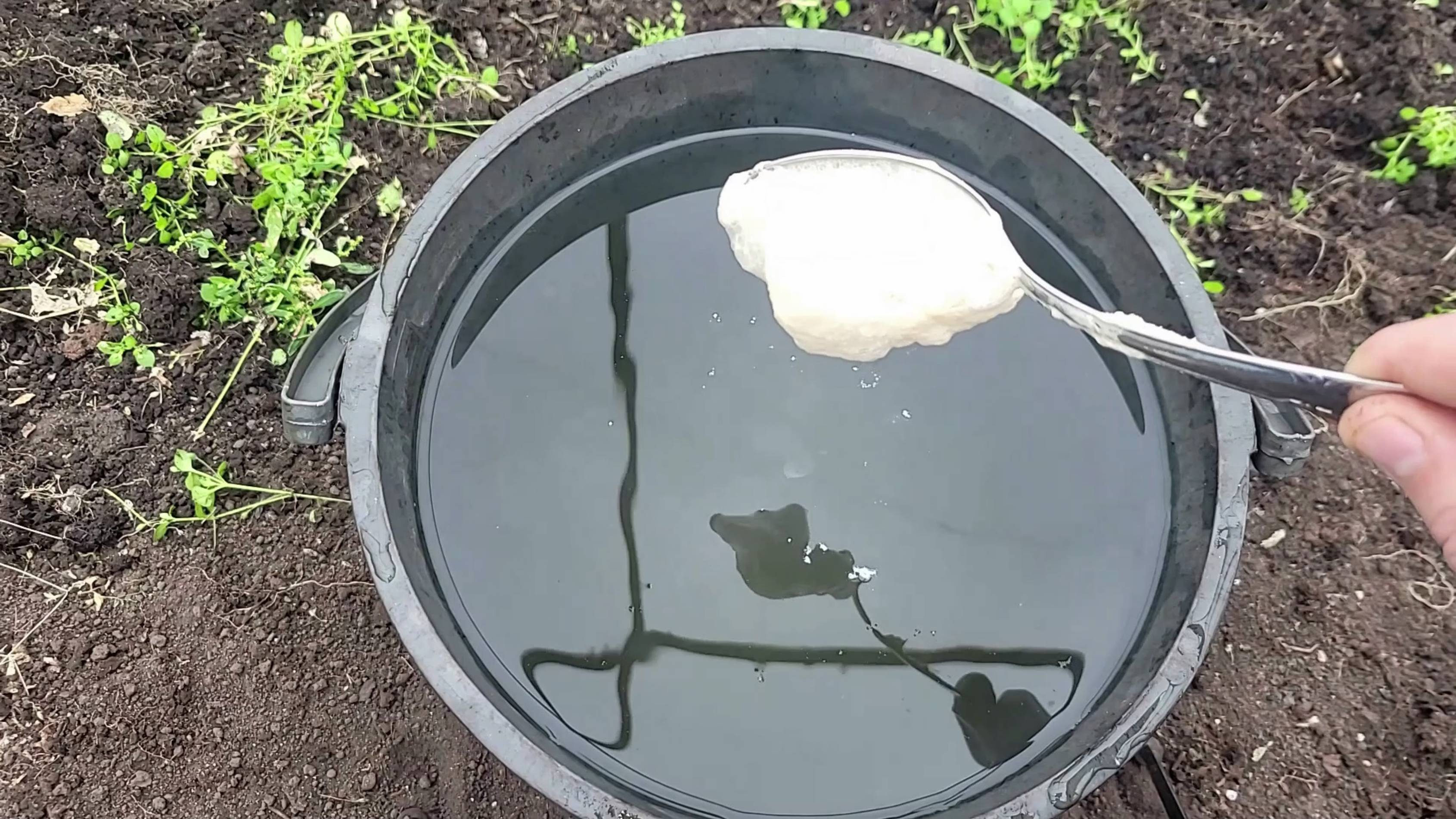 Ложку на ведро воды и земля как новая, плодородная, проливаю землю для большого урожая, проливаю зем смотреть онлайн