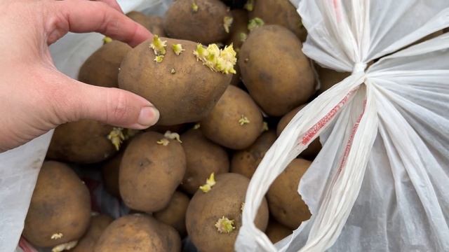 ДОДЕЛАЛИ ГРЯДКИ | РАБОТАЕМ НА ОГОРОДЕ | ПОКУПКИ | ПОДАРОК смотреть онлайн