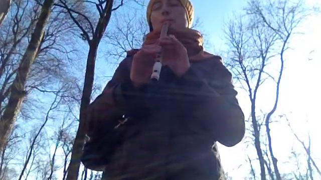 Casadh an tsugain Флейта в парке. Зима. смотреть онлайн