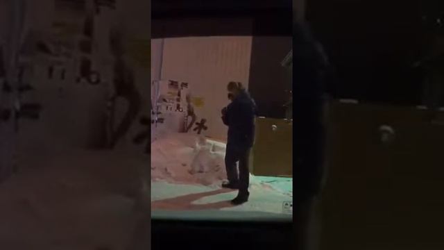 Уличный боец. смотреть онлайн